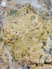 Portrait of a beach view on a sunny day with coral rocks on the beach