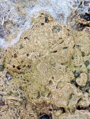 Portrait of a beach view on a sunny day with coral rocks on the beach