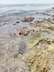 Portrait of a beach view on a sunny day with coral rocks on the beach