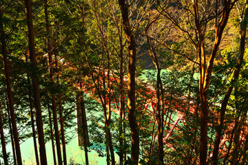 奥大井湖上駅付近　静岡県榛原郡川根本町犬間
