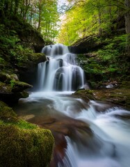 Fototapeta premium Waterfall in a lush green forest