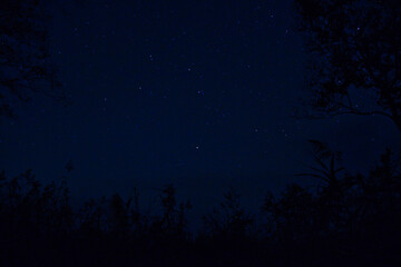 Naklejka premium 尾瀬の星空