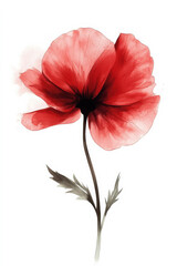 A bold watercolor of a bright red flower, with soft petals and a clean background. Ideal for decorative projects and wall art.