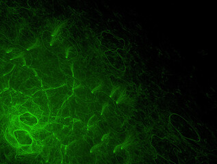 Imaginatory fractal abstract background Image