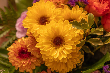Full frame macro abstract texture background of an indoor floral arrangement, featuring yellow gerbera daisies