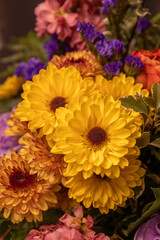 Full frame macro abstract texture background of an indoor floral arrangement, featuring gerbera daisies and chrysanthemums
