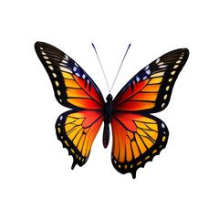 Obraz premium Colorful butterfly isolated on transparent background.