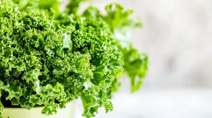 Fototapeta premium Fresh green kale in a pot, ready for use.