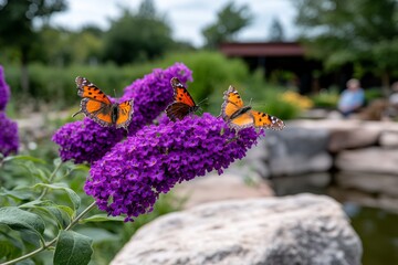 Buddleja flowers in full bloom at the edge of a garden, with butterflies landing gently on the purple spikes