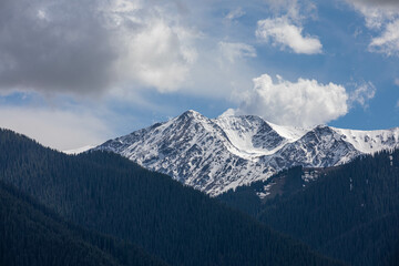 snow covered mountains
