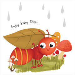 funny animal ant with background rainy