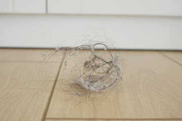 A Dust Bunny Collection resting on a beautifully finished Wooden Flooring surface