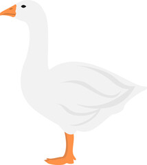 Farm goose