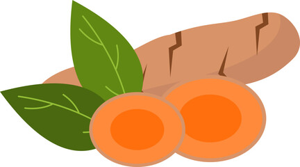 Turmeric root whole and slice