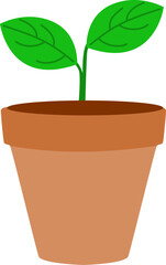 Fresh Green Leaf Potted Plant