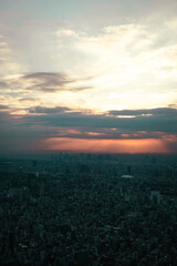 Tokyo Skyline