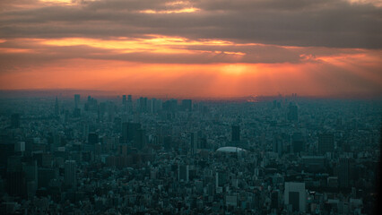 Tokyo Skyline 