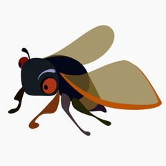 cartoon cicada vector drawing