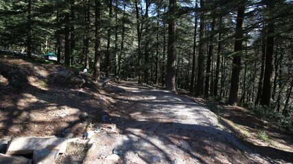 monument to the soldier