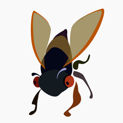 cicada vector drawing cartoon illustration