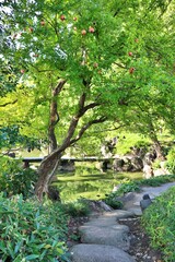 Step stones in Kiyosumi Garden, Tokyo, Japan
