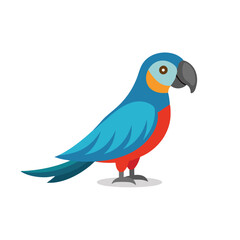 Macaw animal isolated flat vector illustration on white background