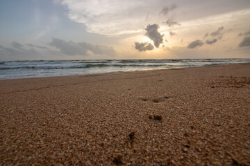 Landscape by the sea. Long deserted beach with water views to the horizon. The waves of a storm...