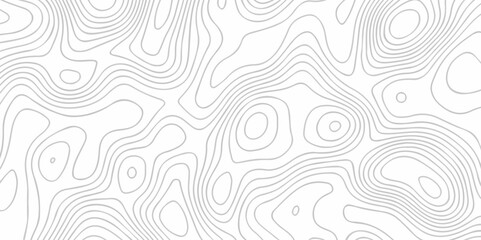 Vector lines pattern seamless sea map topography design. White wave paper curved reliefs Contour maps.