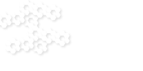 Abstract technology hexagonal background. Illustration of a white background with hexagonal template. White hexagon honeycombs background. Hexa gray Abstract Geometric Wide Banner Design.