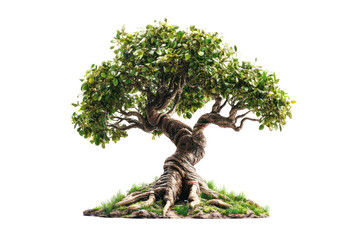 Growing fantasy tree with mystical elements  isolated on transparent and white background.PNG image	