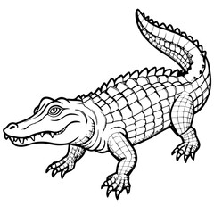 Crocodile