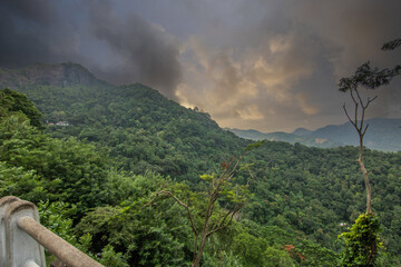 Landscape shot with monkeys in the fertile highlands in the subtropical climate. Street with great...