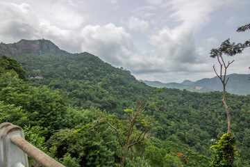 Landscape shot with monkeys in the fertile highlands in the subtropical climate. Street with great...