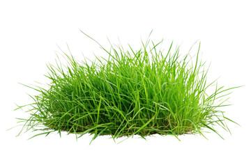 Lush green grass hillside isolated on transparent background,PNG image.