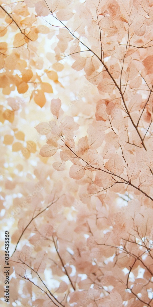 Poster Holographic Autumn Leaves Projection with Iridescent Abstract Background