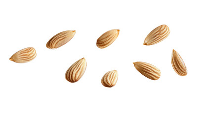 Almond on transparent background