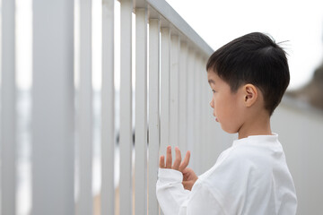 柵の向こうを眺める男の子