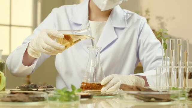 A researcher pouring a herbal solution from one flask to another is seen in a video sample taken in a contemporary lab setting. The experiment important plants are in the background.