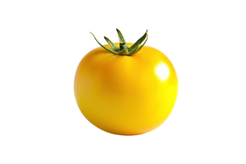 Yellow tomato  on isolated on transparent and white background.PNG image,