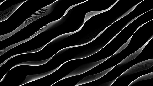 Black and white background with lines wavy 4k loop, line smooth waving animation