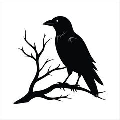Fototapeta premium A striking vector illustration of a raven bird silhouette perched on a tree branch, perfect for spooky designs, Halloween projects, or nature-themed artworks with a gothic twist.