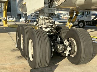 Close-up of an aircraft's landing gear on the runwa