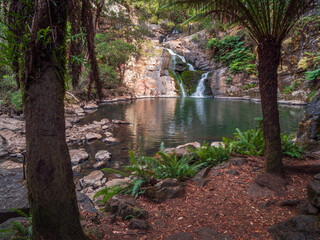 Forth Falls Tasmania