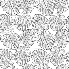 Pattern of openwork monstera leaves, vector graphics.