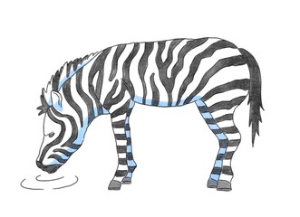 横から見たしまうまのイラストです。