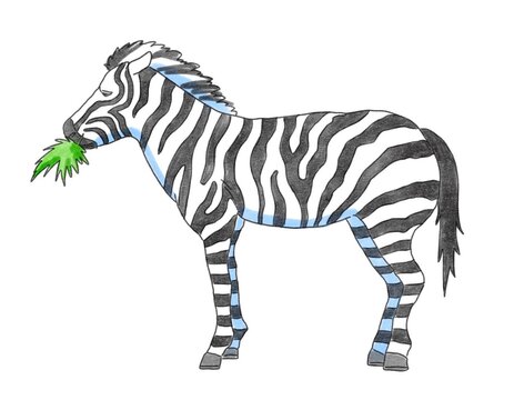 recommend clip art: 横から見たしまうまのイラストです。