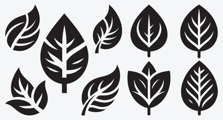 Tropical Leaves Silhouette Bundle Clip Art Vector Illustration Isolated on White Background 