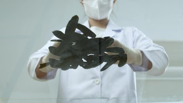 A scientist is mixing black locust fruit on a transparent glass table. This quality video template uses a bottom-up angle, which is suitable for modern lab experiments.