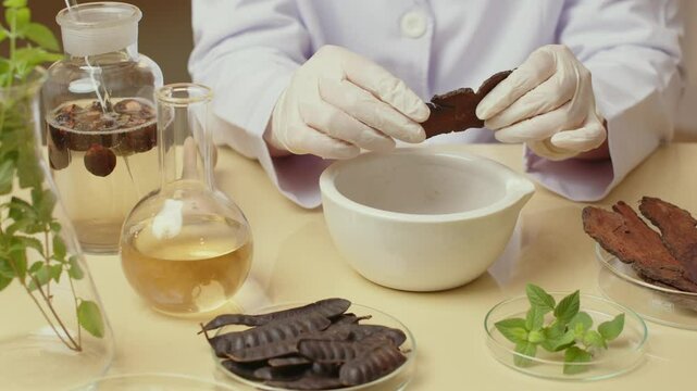A scientist break a dried herbs and places it in a white mortar in a template video shot in a laboratory with top perspectives. Glassware with liquids and herbs surrounds the scientist.