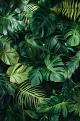 Naklejka premium abstract green leaf texture, tropical leaf foliage nature dark green background 